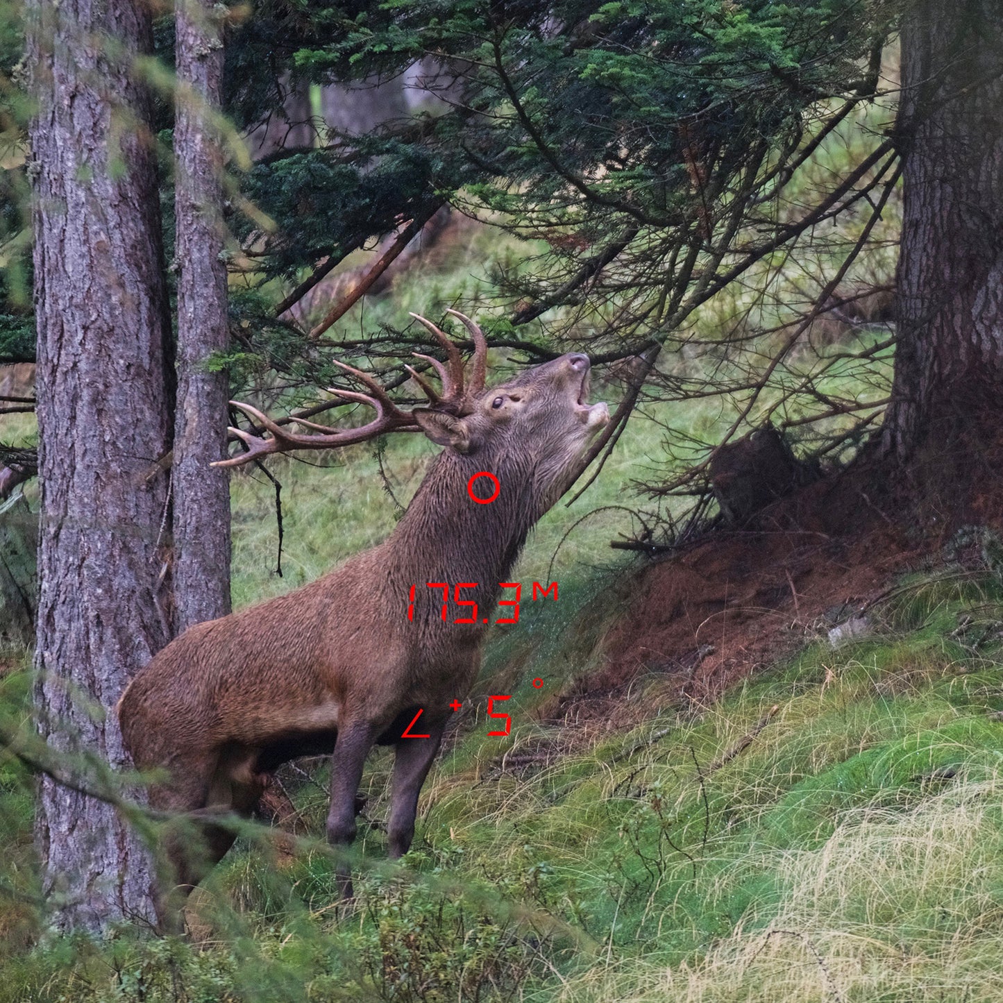 GPO Rangeguide™ 2800 8x50 Entfernungsmesser