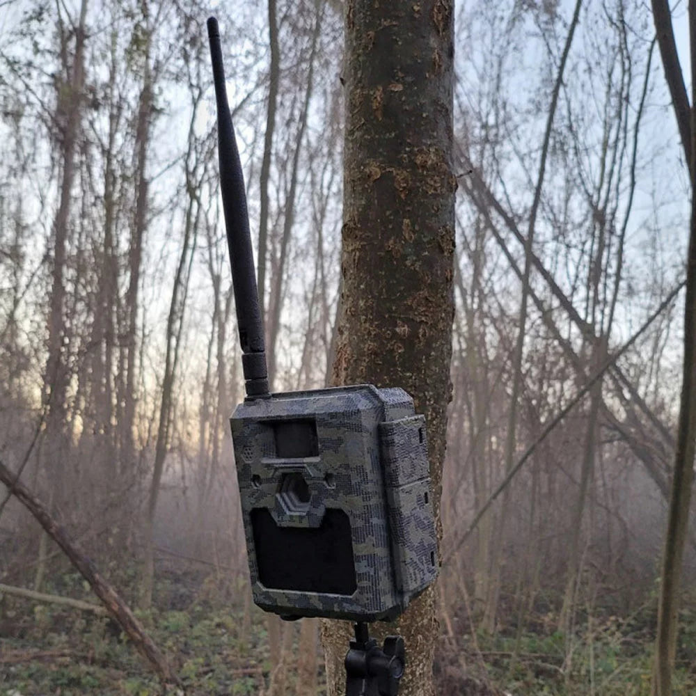 CU CLOM CAM5 4G - LTE Funk- Wildkamera inkl. 2000 Coins & SD-Karte